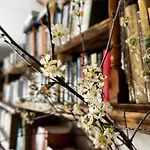 Bonaluti Bauernhof
