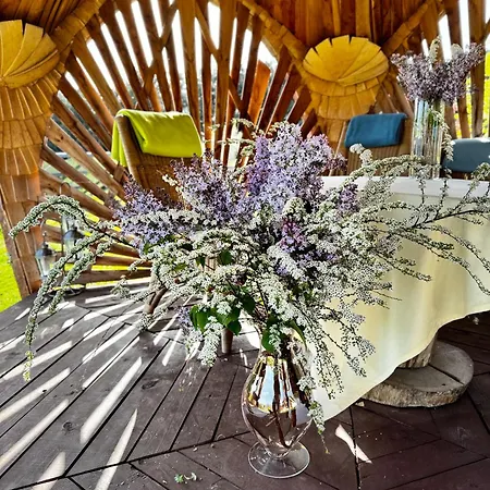 Farm stay Bonaluti Mirsk