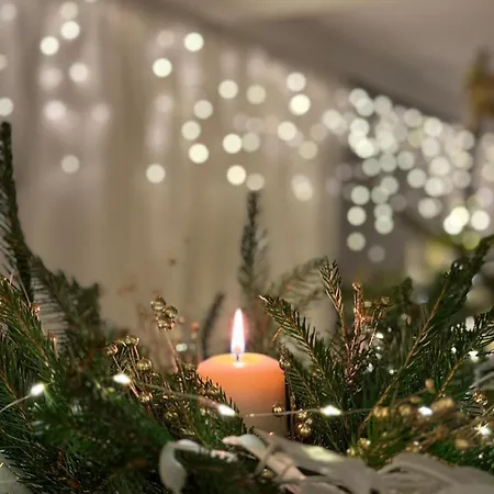 Bonaluti 팜스테이