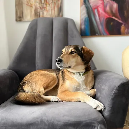 팜스테이 Bonaluti Mirsk