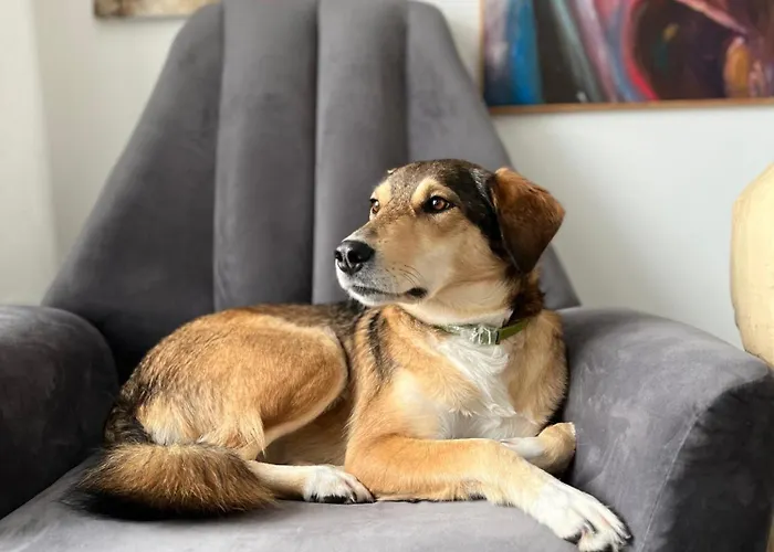 مزرعة للإقامة Bonaluti Mirsk