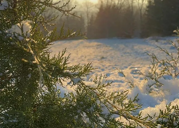 Bonaluti مزرعة للإقامة Mirsk