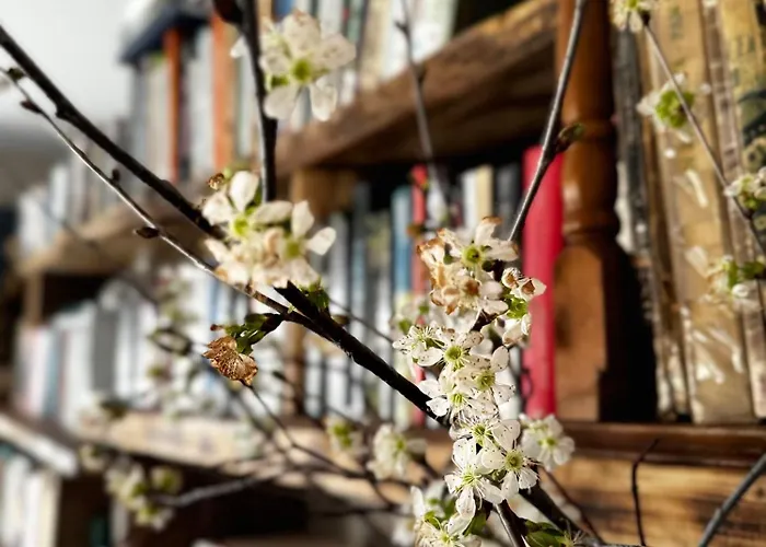 Bonaluti مزرعة للإقامة