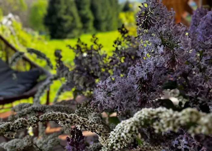 مزرعة للإقامة Bonaluti *